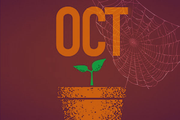 illustration of seedling in a pot with OCT in background with spider web in halloween colors